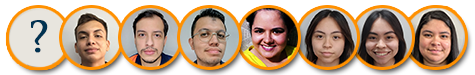 Perspicaz Team