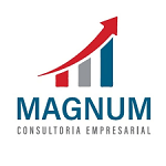 Magnum Consultoria